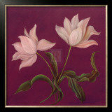 Buy Moon Shadows I at AllPosters.com