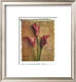 Buy Callas at AllPosters.com