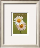 Buy Morning Prayers at AllPosters.com