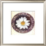 Buy Four Dressed Plates II at AllPosters.com