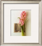 Buy Hyacinth, Euro-Floral at AllPosters.com