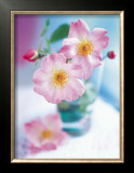 Buy Dog Roses at AllPosters.com