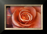Buy Untitled at AllPosters.com