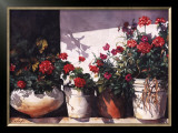 Buy Pots of Geraniums at AllPosters.com
