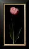 Buy Grace II at AllPosters.com