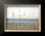 Buy Coastal Grasses at AllPosters.com