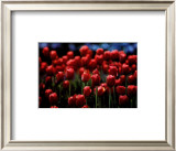 Buy Untitled at AllPosters.com