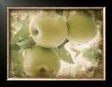 Buy Vintage Apples II at AllPosters.com