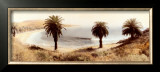 Buy Refugio State Beach at AllPosters.com