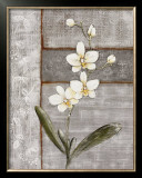 Buy Orchid Shimmer I at AllPosters.com