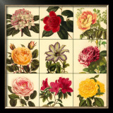 Buy Garden Glory at AllPosters.com