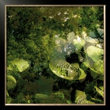 Buy Vegetaux 14, 2008 at AllPosters.com