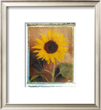 Buy Sunflowers at AllPosters.com