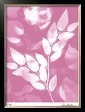 Buy Flower Shadow VI at AllPosters.com