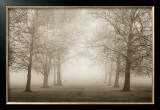 Buy Layers of Trees II at AllPosters.com