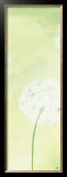 Buy Delicateness of the Dandelion II at AllPosters.com