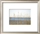 Buy Coastal Grasses at AllPosters.com