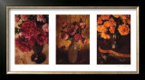Buy Les Couleurs Des Roses II at AllPosters.com