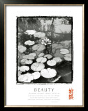 Beauty: Lilypads