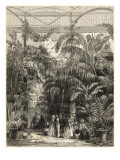 Interior of the Great Palm House, Kew Gardens, 1852