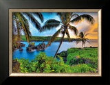 Buy Where Da Coconuts Grow at AllPosters.com