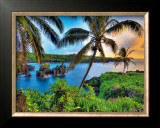 Buy Where Da Coconuts Grow at AllPosters.com