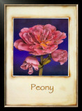 Peony