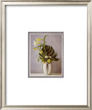 Buy Silver Sensation I at AllPosters.com
