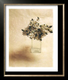 Buy Cut Flowers II at AllPosters.com