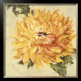 Buy Hot Blooms II at AllPosters.com