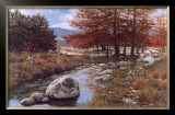 Cypress Creek