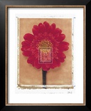 Gerbera