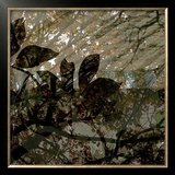Buy Vegetaux 13, 2008 at AllPosters.com