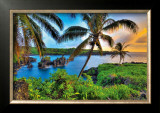 Buy Where Da Coconuts Grow at AllPosters.com