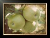 Buy Vintage Apples III at AllPosters.com