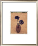 Buy Cornflowers at AllPosters.com