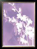 Buy Flower Shadow V at AllPosters.com