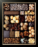 Buy Seeds at AllPosters.com