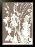 Buy Flower Shadow I at AllPosters.com
