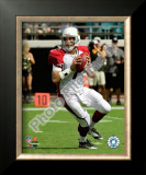 Matt Leinart 2009
