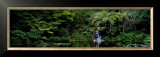 Buy Ayrlies, Auckland, New Zealand at AllPosters.com