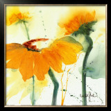 Sunflower V