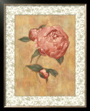 Buy Antique Peony II at AllPosters.com