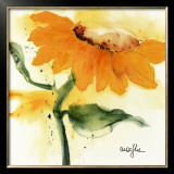 Sunflower IV
