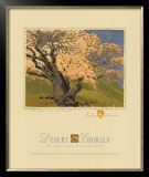 Buy The Bishop's Apricot Tree at AllPosters.com