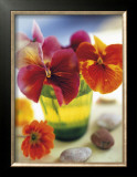 Buy Pensees at AllPosters.com