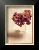 Cut Flowers IV