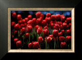 Buy Untitled at AllPosters.com