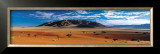 African Landscape