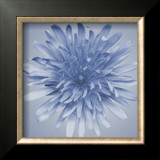 Buy Oceana Flora III at AllPosters.com